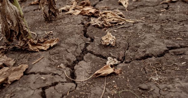 Деградовані ґрунти, або Чому чверть земної поверхні непридатна для землеробства
