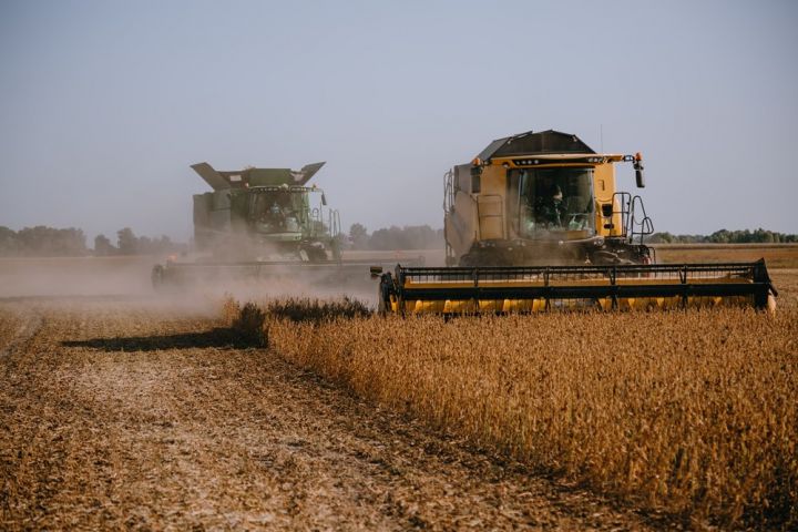 Soybean harvesting in A.G.R. Group
