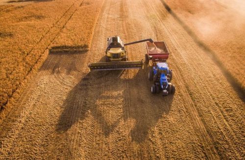 Уборочная кампания в Украине Уборочная кампания в Украине