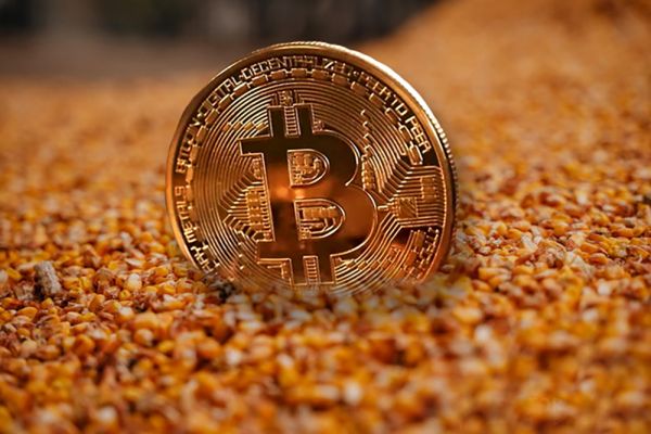 Bitcoin and corn