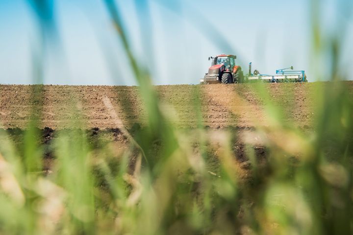 Війна сівбі не перешкода, або Чи буде Україна з урожаєм: опитування агрохолдингів 