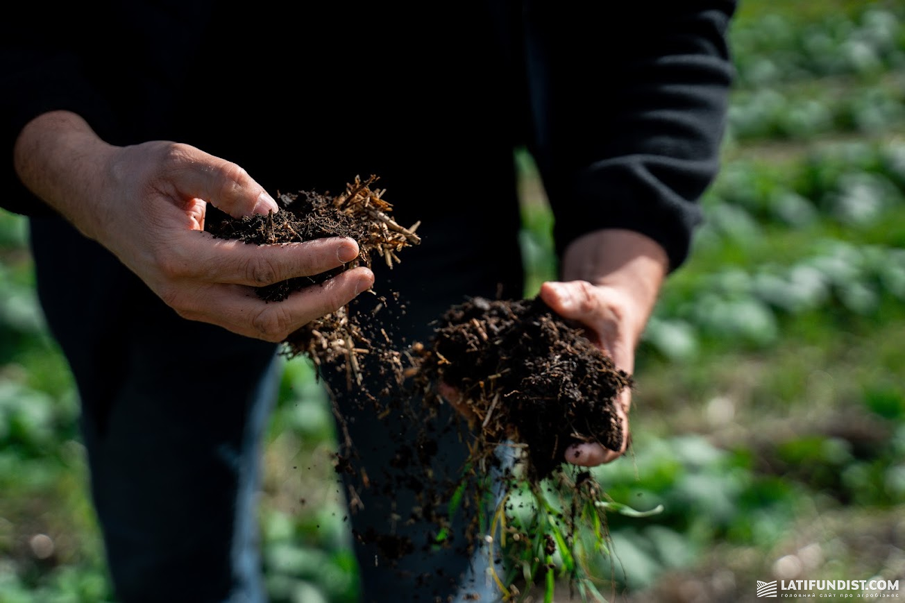 no-till і покривні культури сприяють здоров&rsquo;ю ґрунту