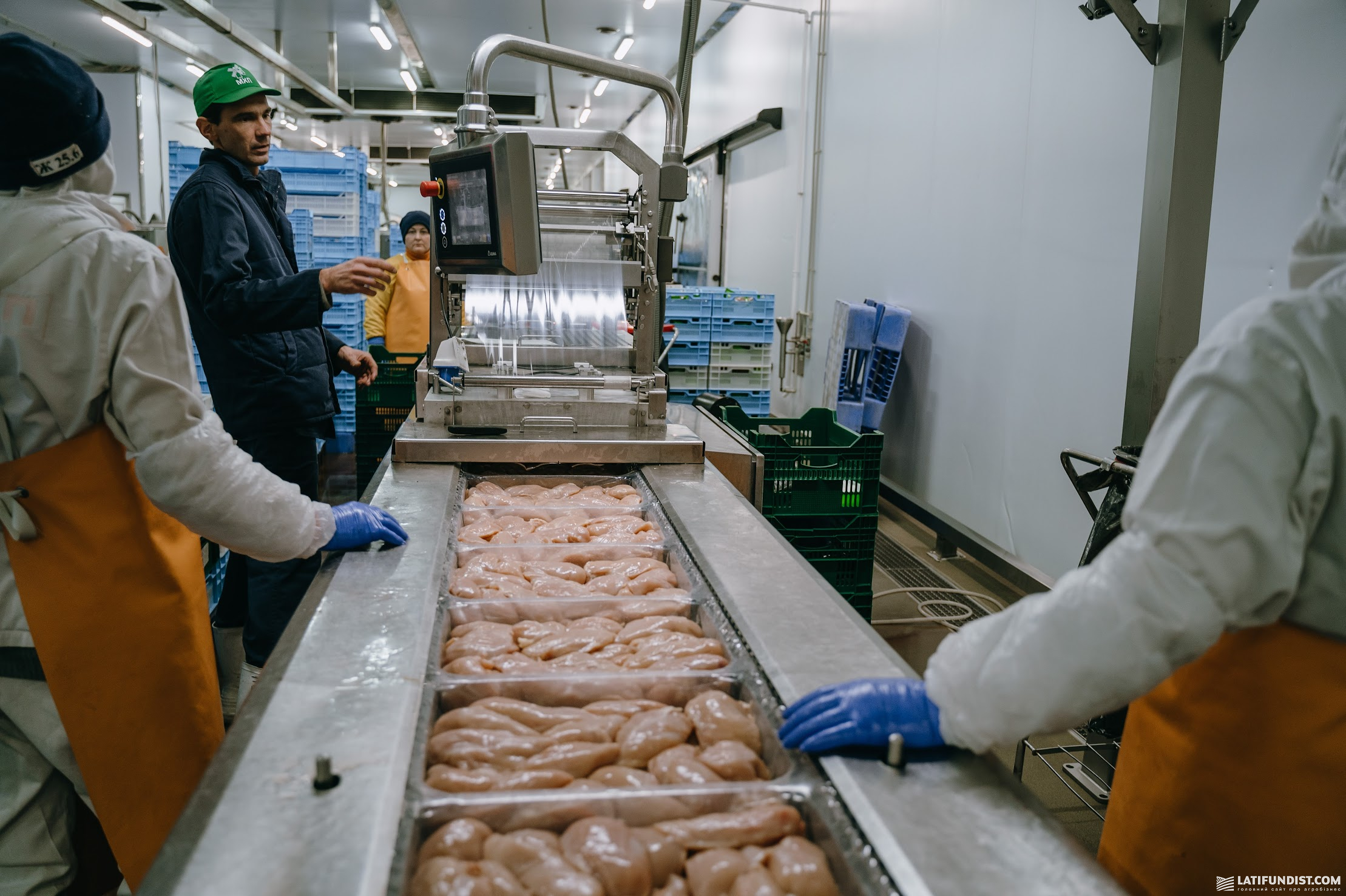 Сьогодні збагачений білком раціон стає стратегією активного життя і здорового старіння