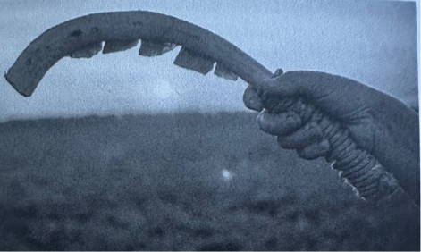 Реконструкція трипільського «касетного» серпа. Скриншот з книги «Трипілля. Спочатку була глина» Реконструкція трипільського «касетного» серпа