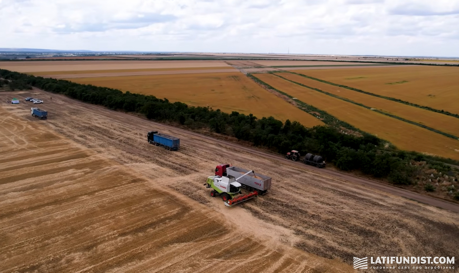 Збір врожаю в Одеському кластері &laquo;Голден Агро Холдинг&raquo;, липень 2026 р.