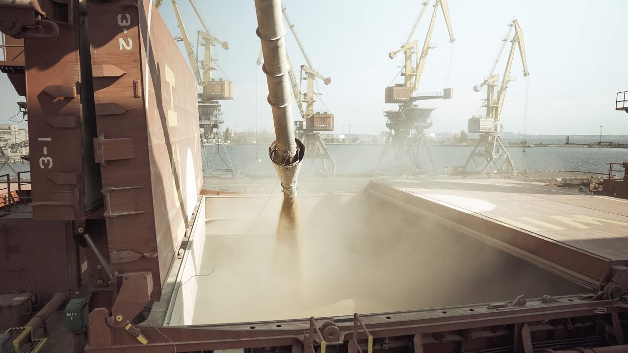 У «Вестхім Україна» під затримку потрапили п’ять суден. Три з них — хендіки і два великих костера У «Вестхім Україна» під затримку потрапили п’ять суден. Три з них — хендіки і два великих костера