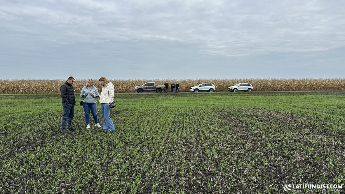 «АгроЕкспедиція-2025» на полі «Агропродсервіс», озима пшениця, жовтень 2025 р.