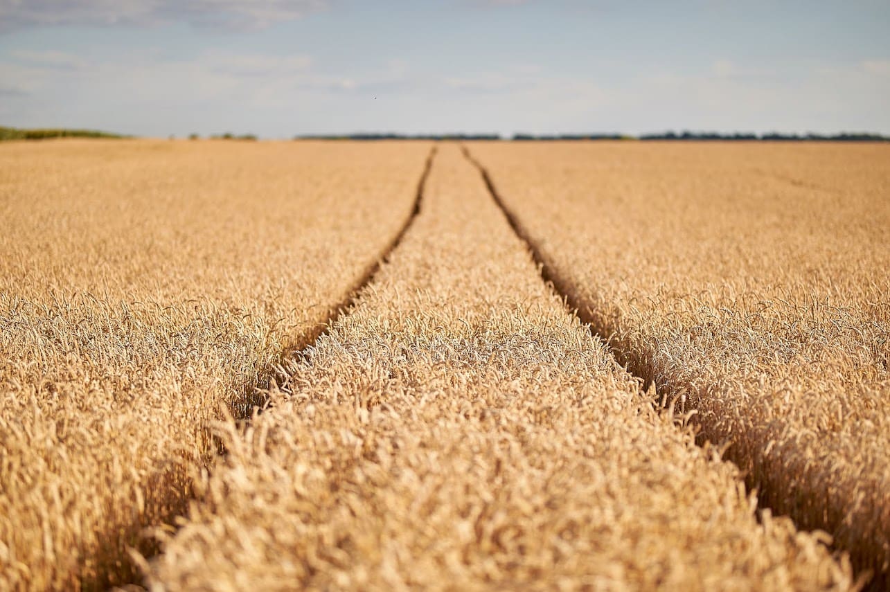 3 лютого 2022 р. «ТБ «Новаагро» та ФГ «Бурейчак» уклали договір поставки пшениці  на 5,5 млн грн 