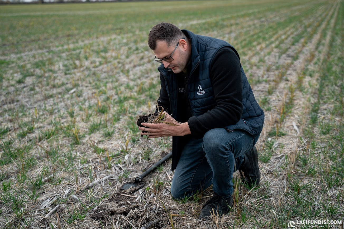 Ігор Гуржій, поле підприємства «Аннушка», Миколаївська обл., жовтень 2025 р. Ігор Гуржій, поле підприємства «Аннушка», Миколаївська обл., жовтень 2025 р.