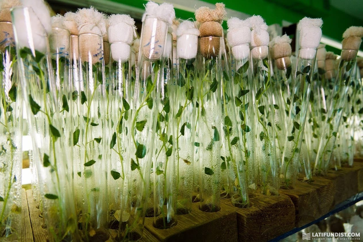 Якщо ви хочете створювати чи випробовувати ГМО у лабораторії, то це робота в замкненій системі