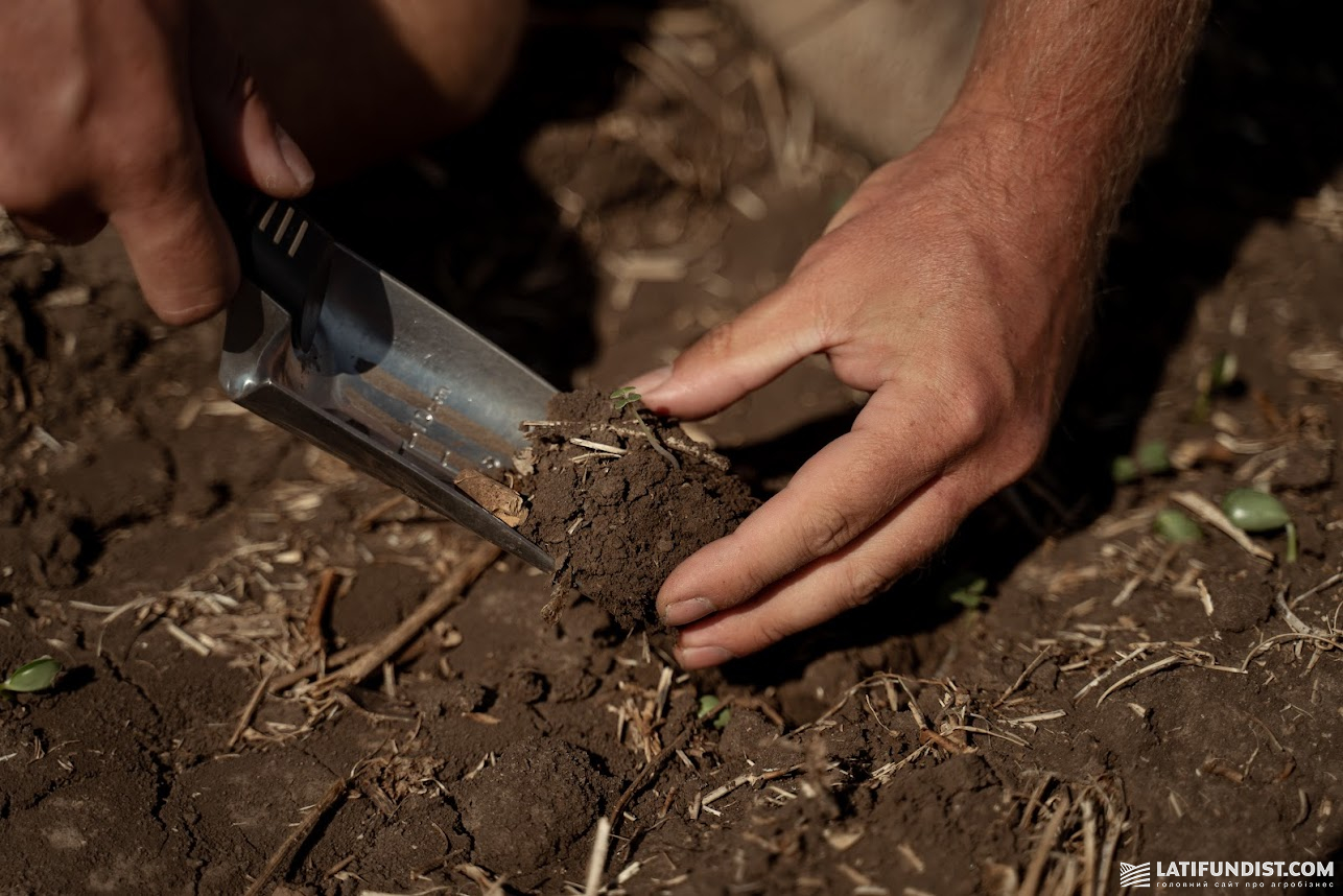 Сергій Авраменко: у східних, південних і частково центральних регіонах вологи немає ні у верхніх, ні в глибших шарах ґрунту Сергій Авраменко: у східних, південних і частково центральних регіонах вологи немає ні у верхніх, ні в глибших шарах ґрунту