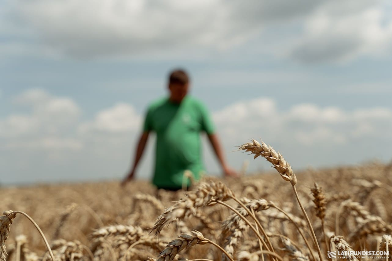 Українські експортери програють Бразилії, яка зараз насичує європейський ринок фуражним зерном