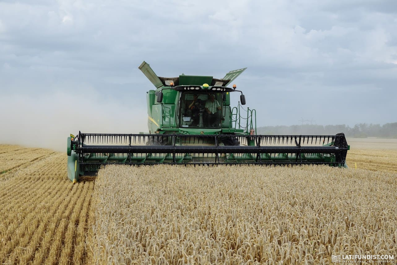 Урожайность кукурузы составляет 4 тонны. Выгоничи Брянская кукурузные поля уборка 2021г наемными комбайнами.