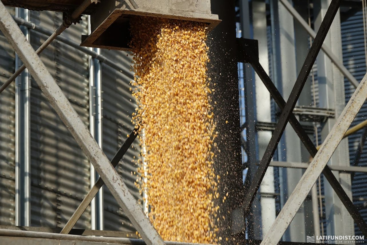 В Угорщині розвинена глибока переробка зерна пшениці та кукурудзи