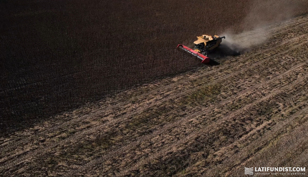 Збирання соняшника, TG Agro, вересень 2025 р.