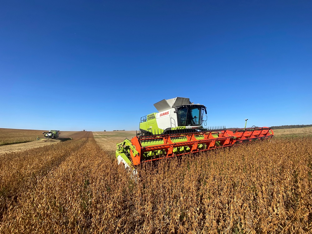 Claas combine harvesting soybeans in CFG field in Ukraine. October 2021