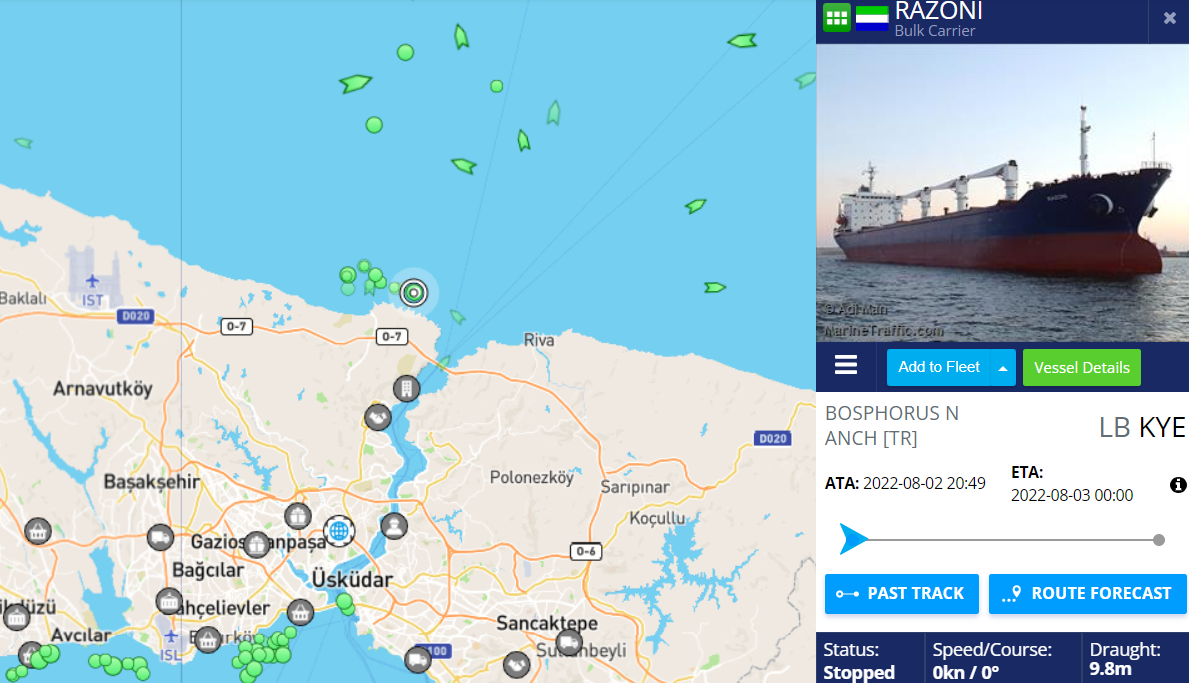 RAZONI is anchored in the Turkish waters for the inspection, August 3. Source: MarineTraffic