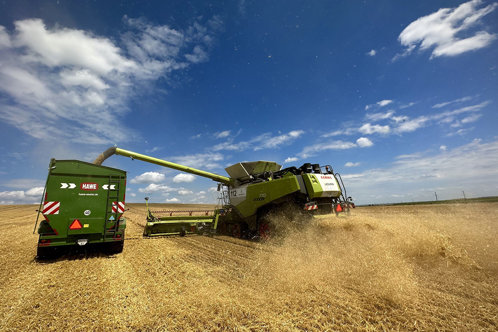 A Claas Lexion 770 harvester unloads winter barley into a HAWE trailer in Continental Farmers Group's field. Early July 2023