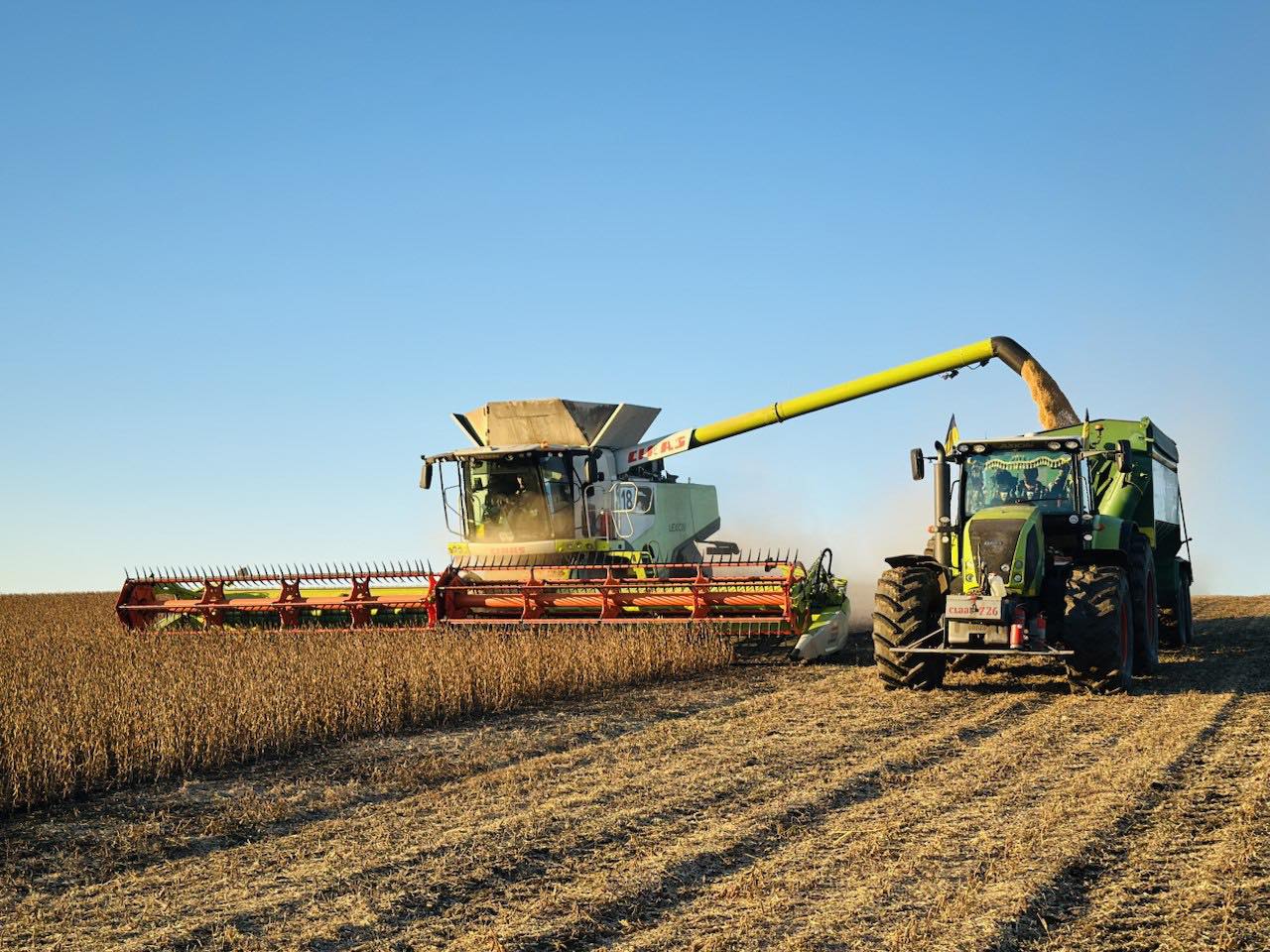 Continental Farmers Group harvests soybeans, early November 2025 Continental Farmers Group harvests soybeans, early November 2025