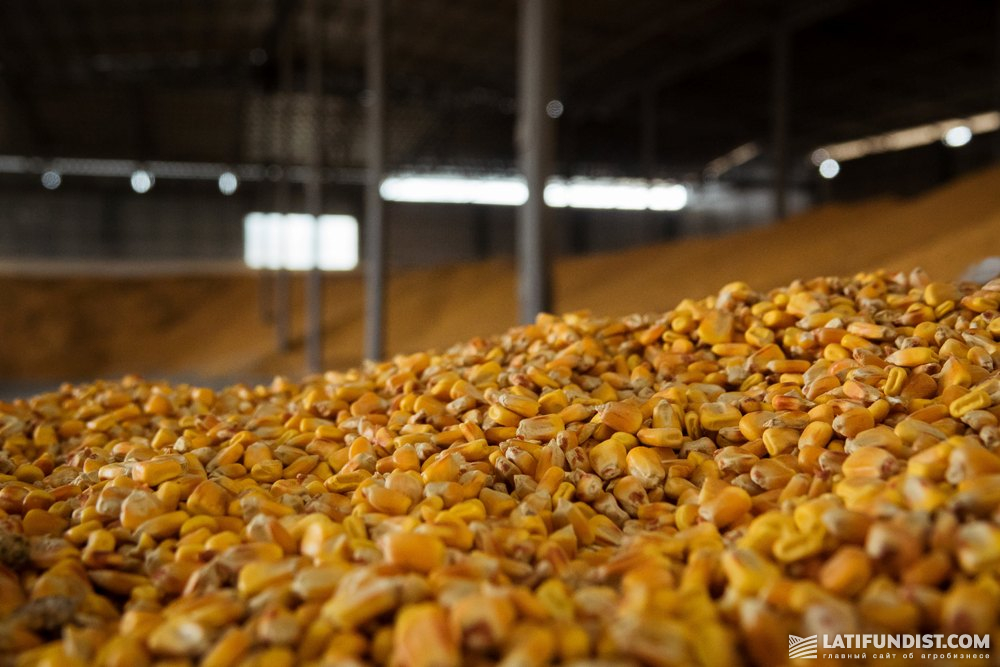 Corn storage in Ukraine