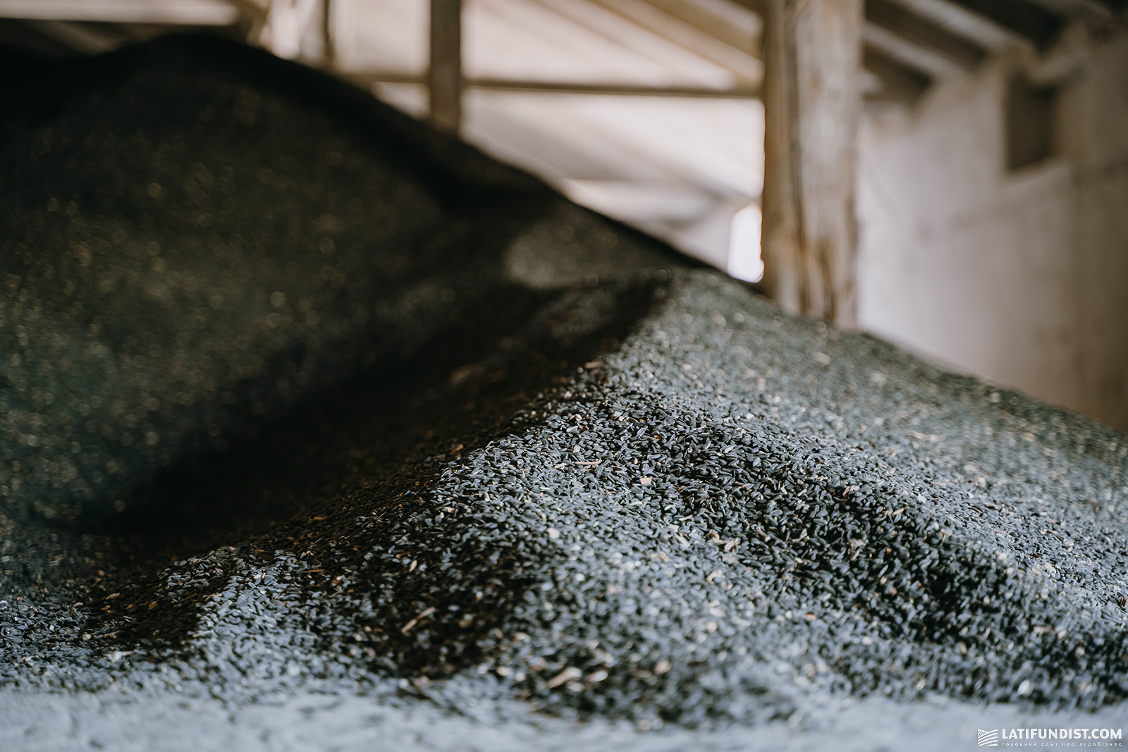 Соняшник на елеваторі