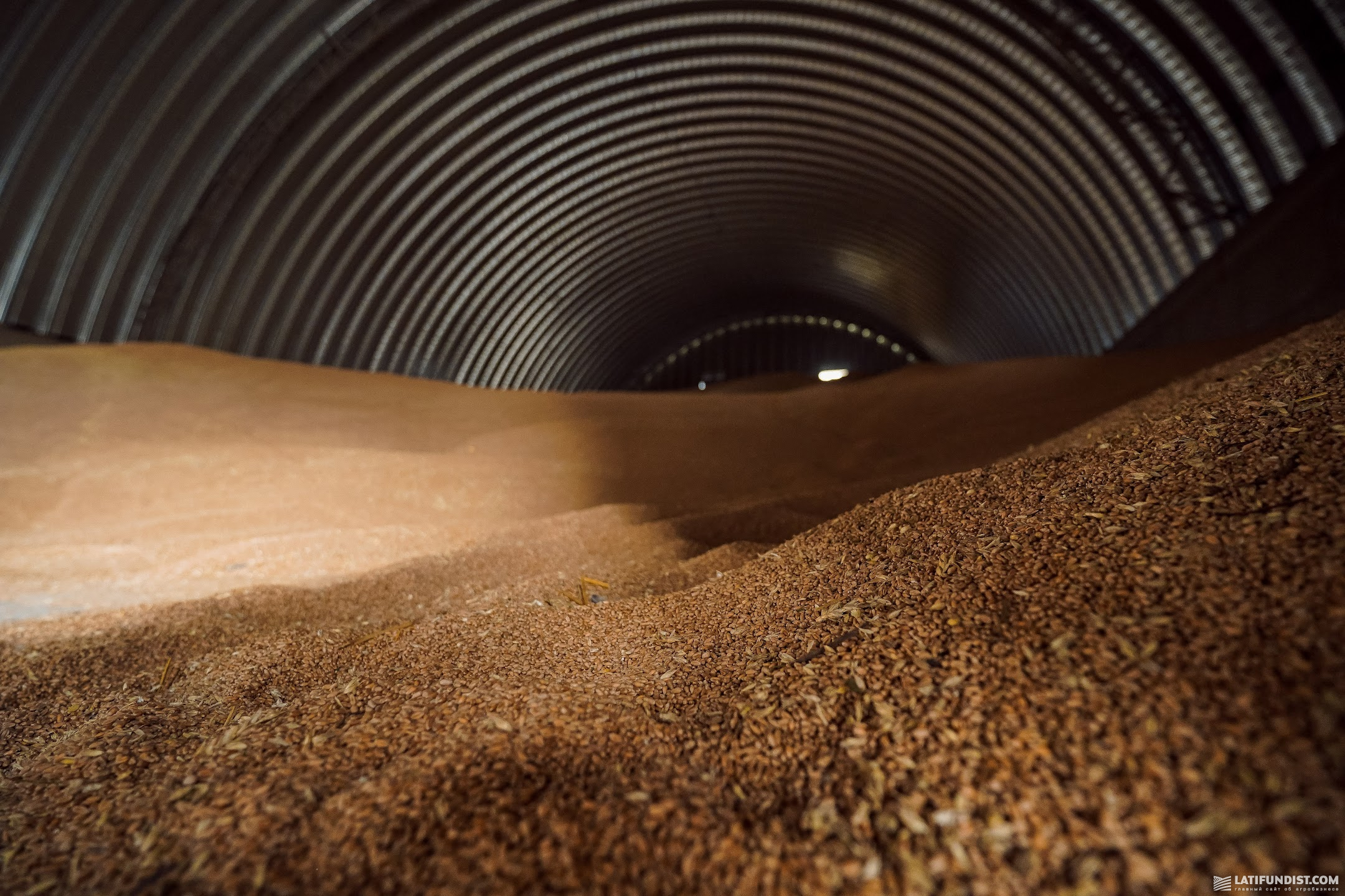 Для перекриття внутрішнього попиту пшениці в Україні достатньо.