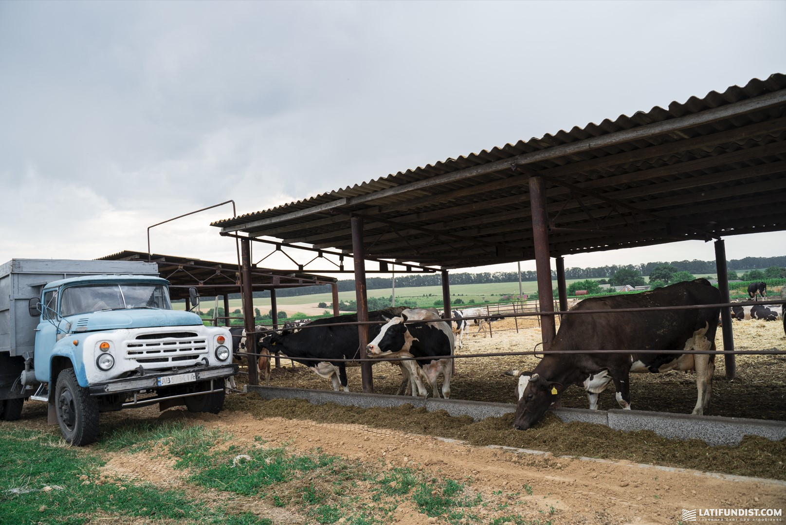 Молочна ферма СВК «Трудівник» Молочна ферма СВК «Трудівник»