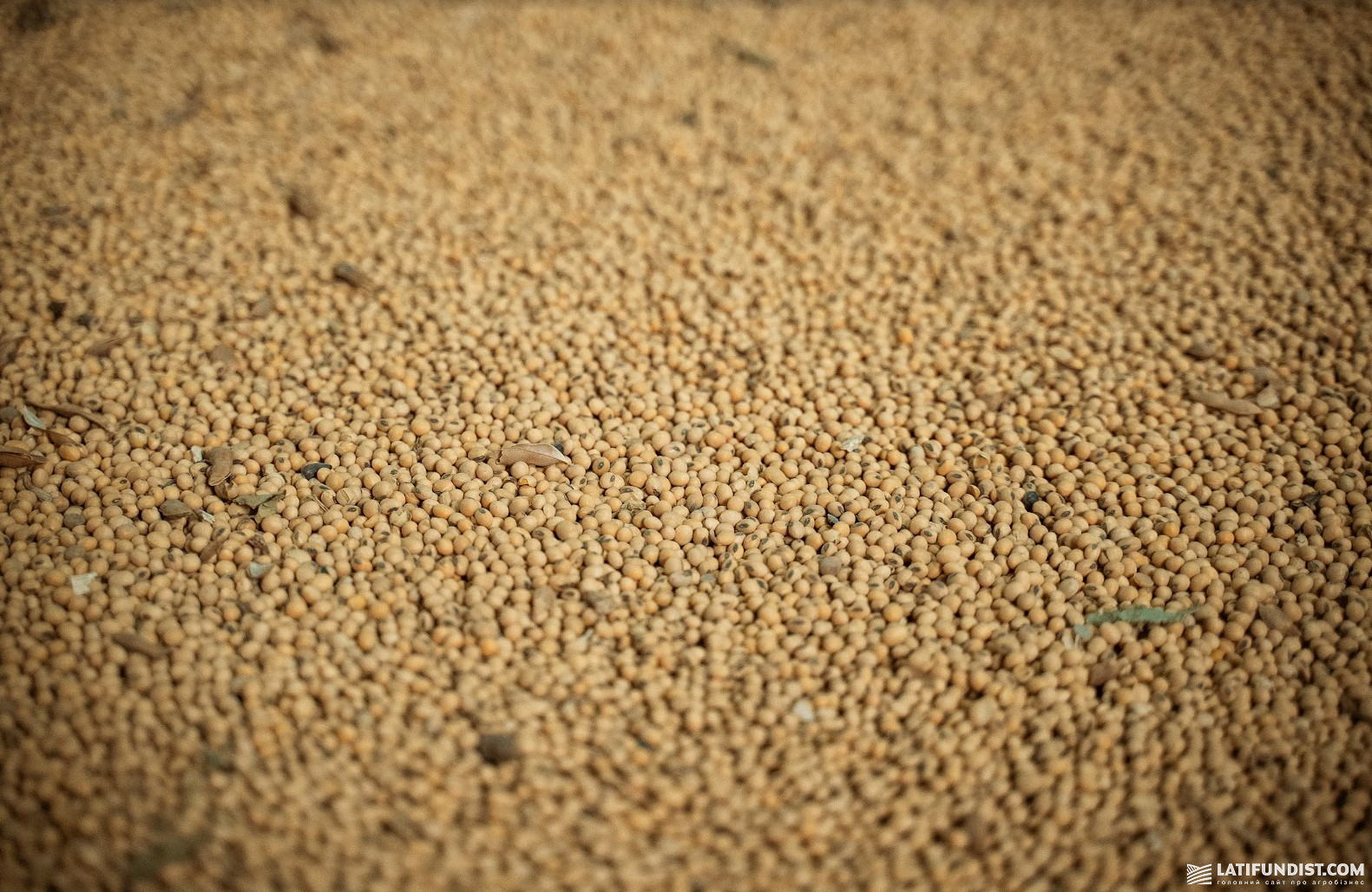 Soybeans in storage. Photo: Latifundist.com
