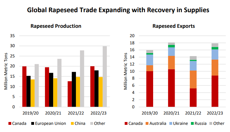 Глобальна торгівля ріпаком розширюється разом із відновленням поставок