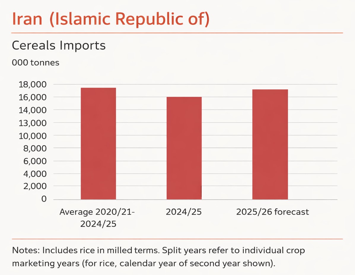 Щорічна потреба Ірану в імпорті зернових та рису. Джерело: fao.org