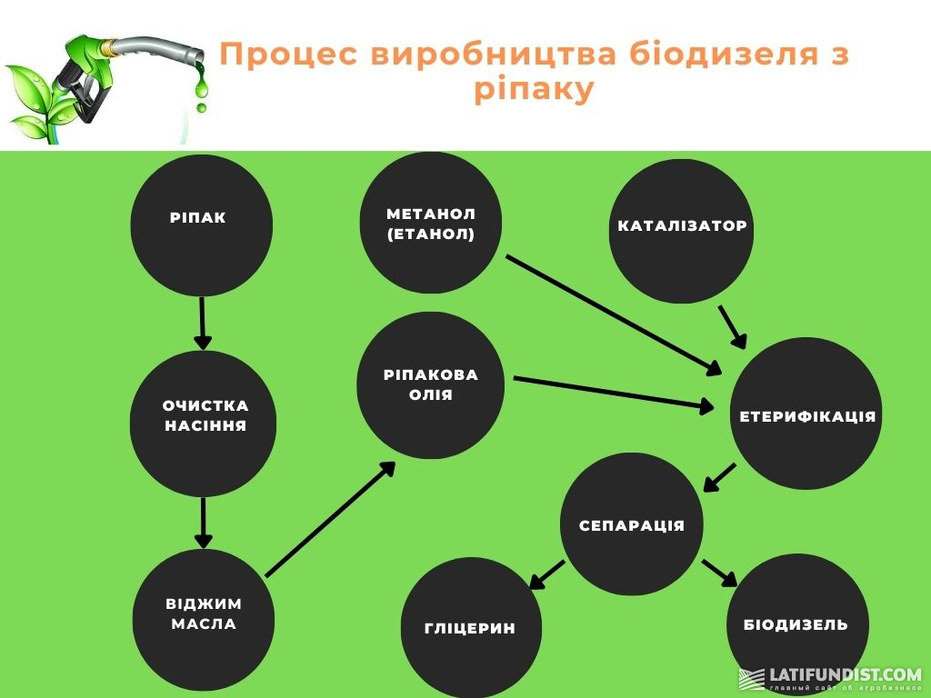 Процес виробництва біодизеля