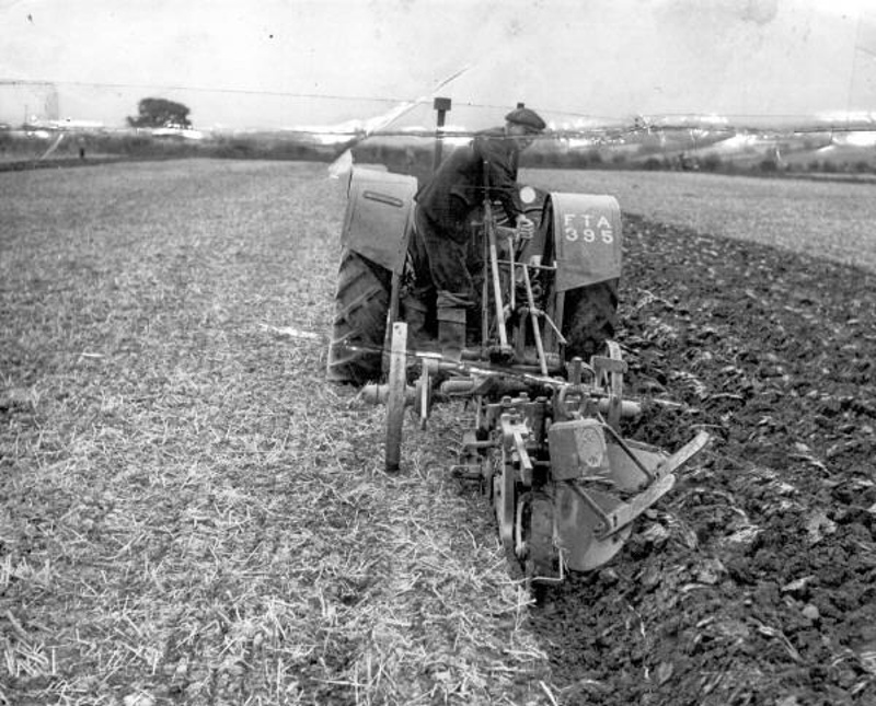 Фермер, 1950 р.