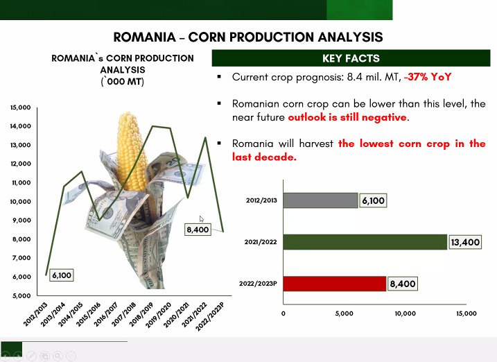 Прогноз виробництва кукурудзи 2022 в Румунії