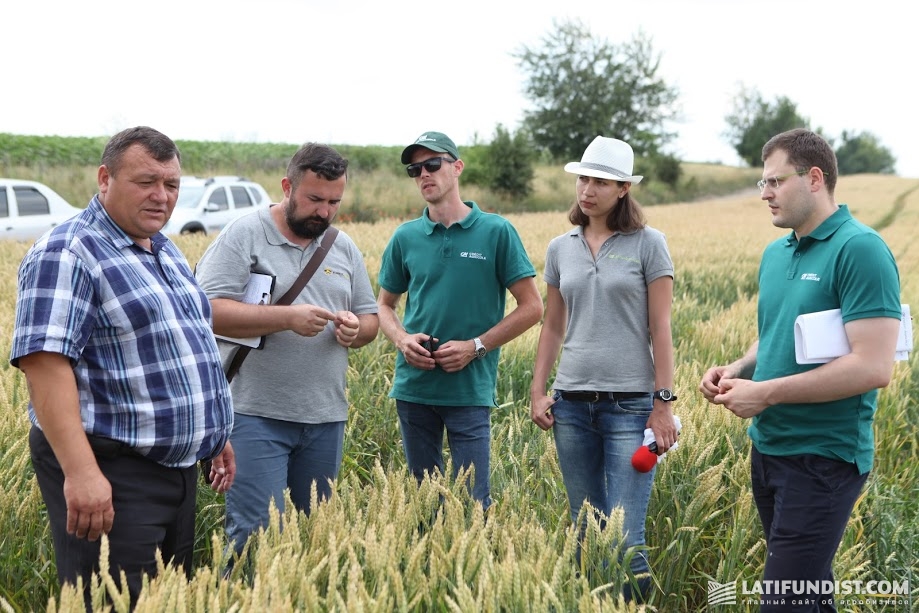Участники АгроЭкспедиции изучают посевы пшеницы