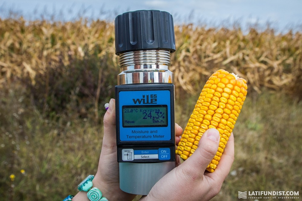 Измерение влажности кукурузы