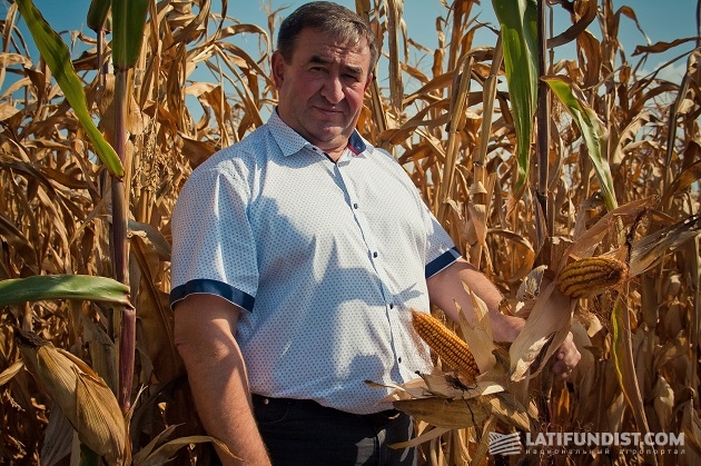 Исполнительный директор предприятия «Олимп» Иван Косенко демонстрирует кукурузу иностранной селекции