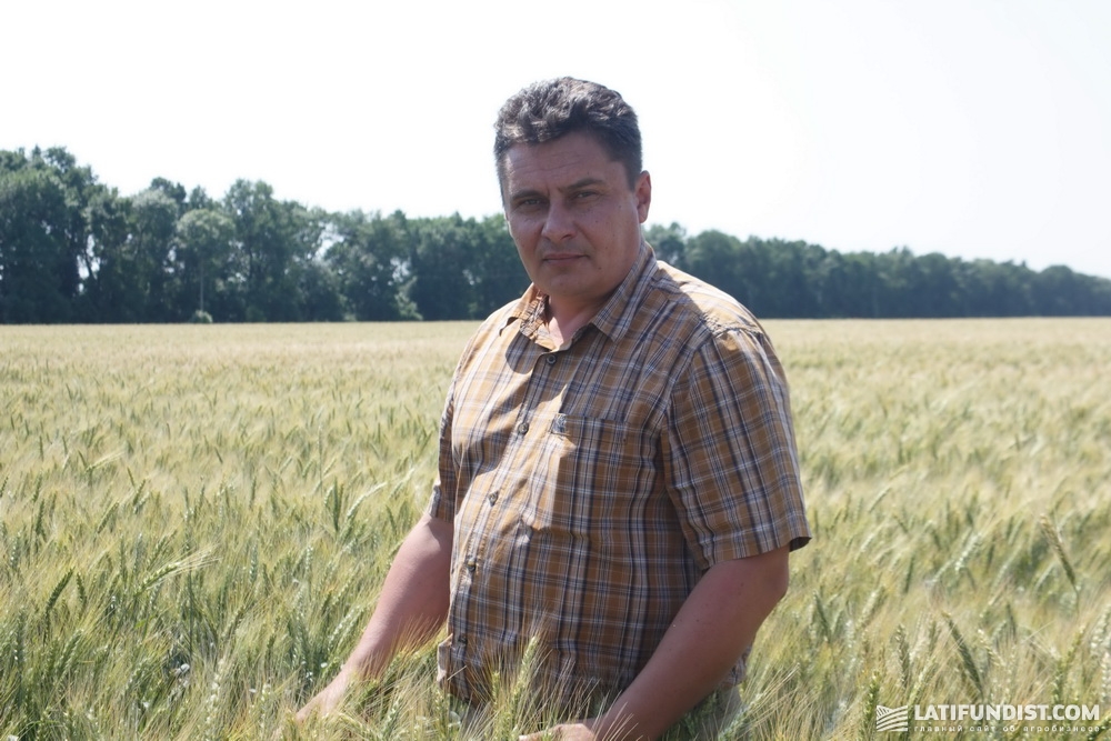 Сергей Середа, шеф-агроном компании «Арника»