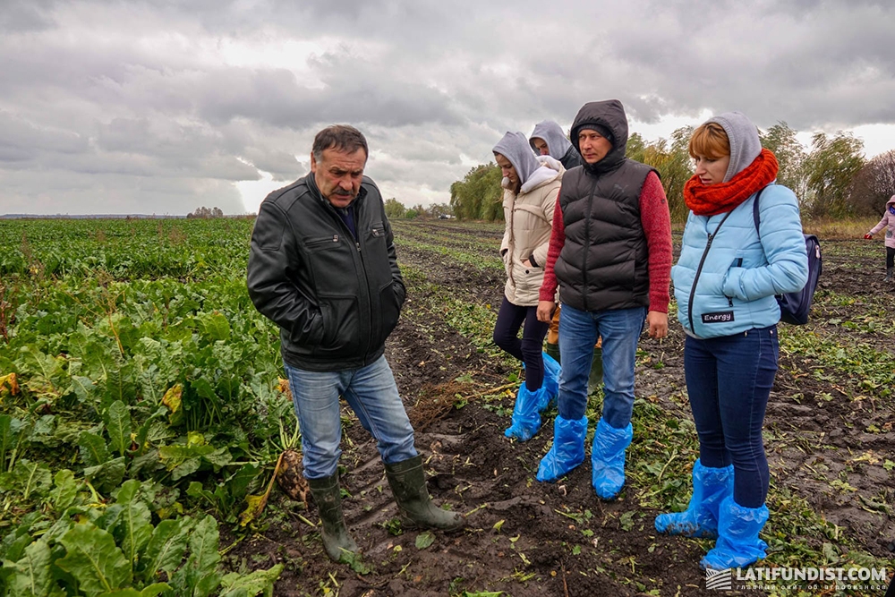 Сергей Филюк показывает АгроЭкспедиторам поле сахарной свеклы «Сварог Вест Груп»