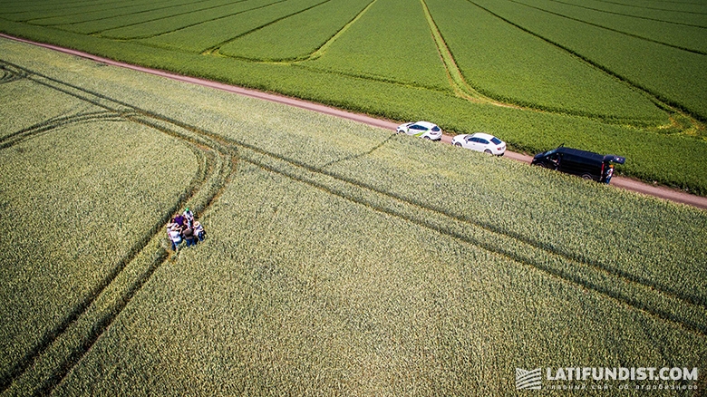 АгроЭкспедиторы поводят исследования на полях пшеницы