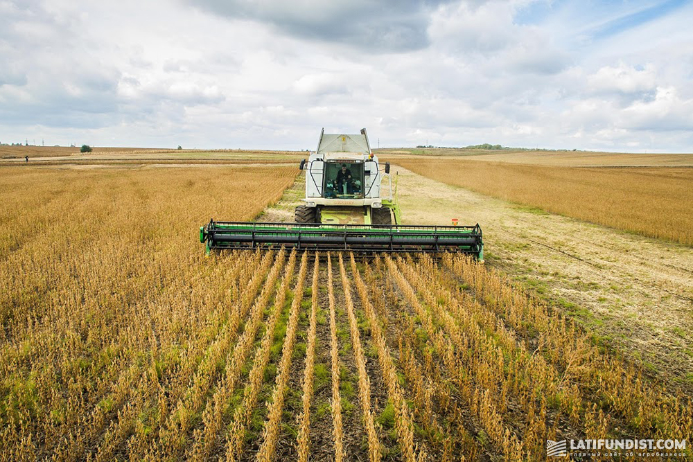 Soybean harvest in Ukraine