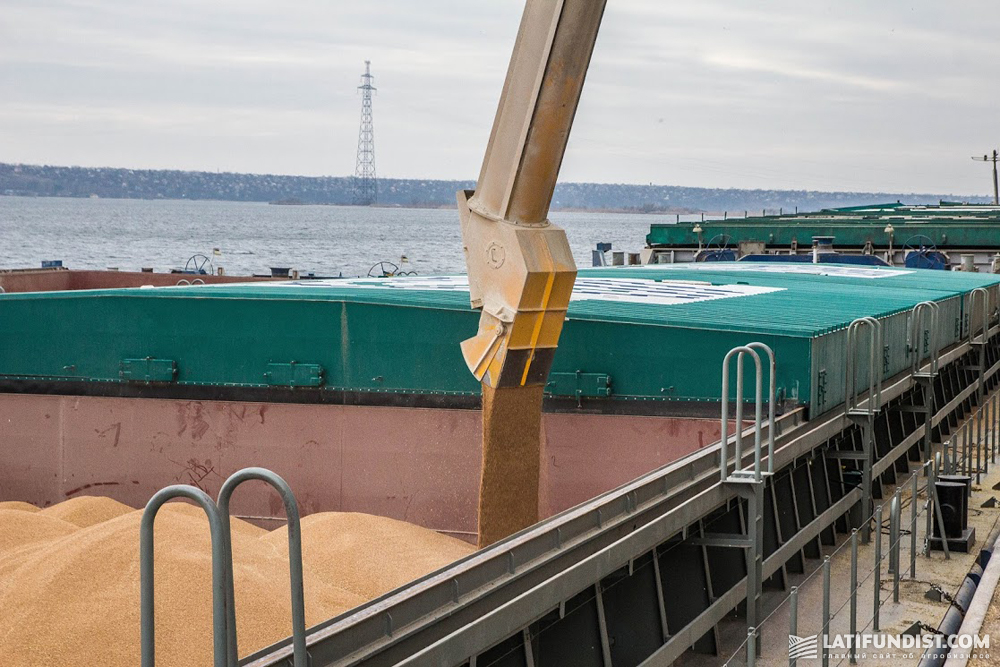 Loading the grain on board a ship
