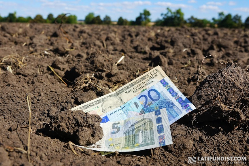 Например, «жирные» черноземы центральных регионов Украины не будут стоить столько же, сколько «песчаная» земля Сумщины или Житомирщины