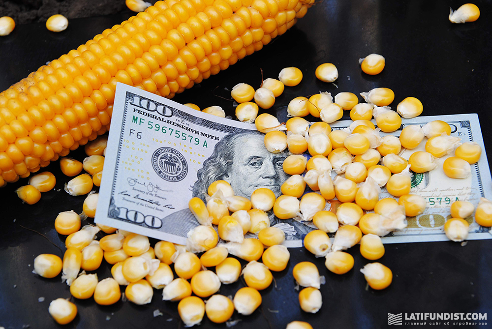 Corn grain and a US dollar banknote
