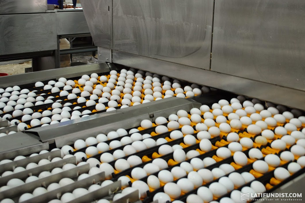 По данным ФАО, больше половины мирового показателя потребления яиц приходится на Азию