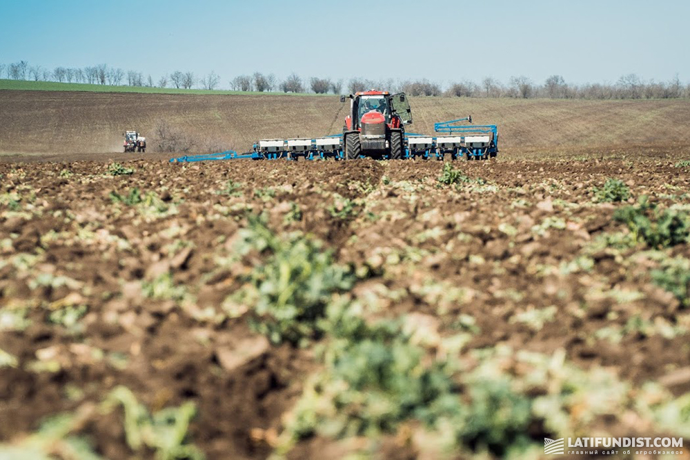 Sowing campaign in Agrain's fields