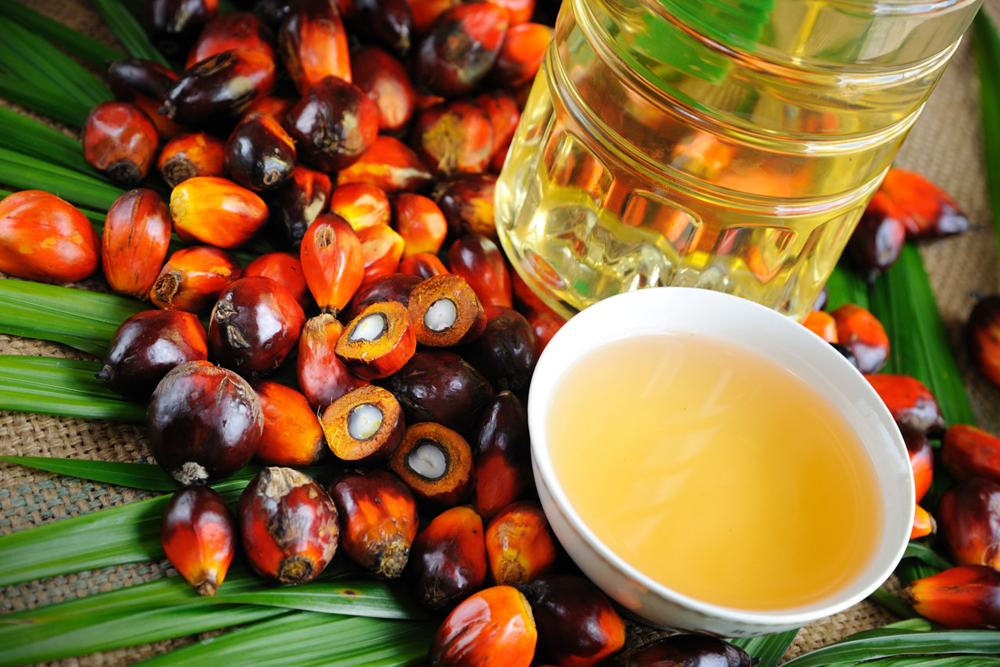 В Украине хотят запретить импорт пальмового масла