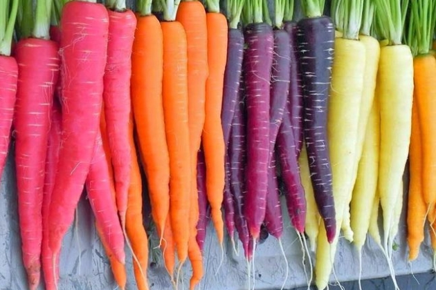 Морковная радуга