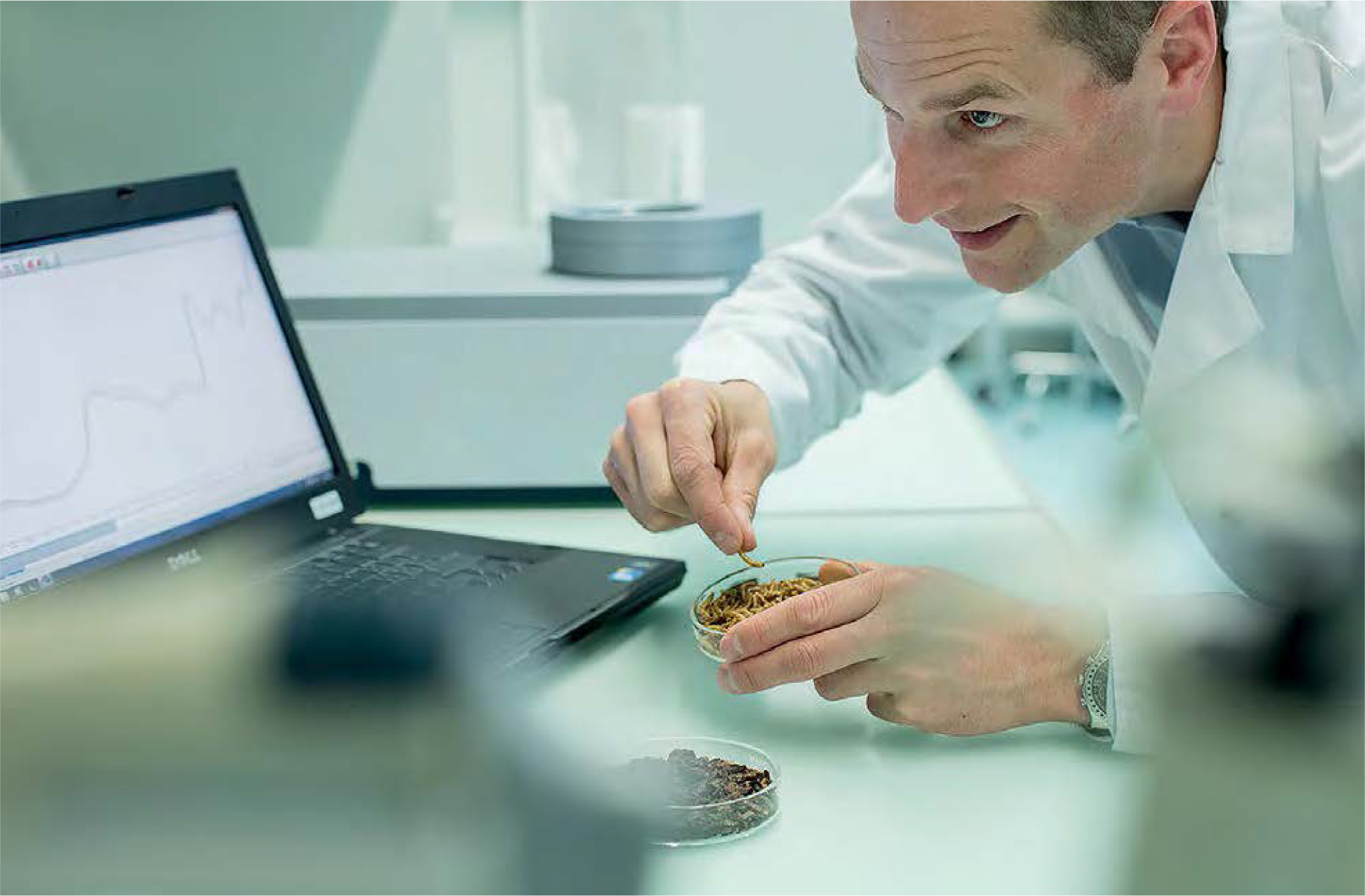 Эксперт «Бюлер» в области производственно-сбытовой цепочки белка Андреас Бауман производит осмотр мучного хрущака