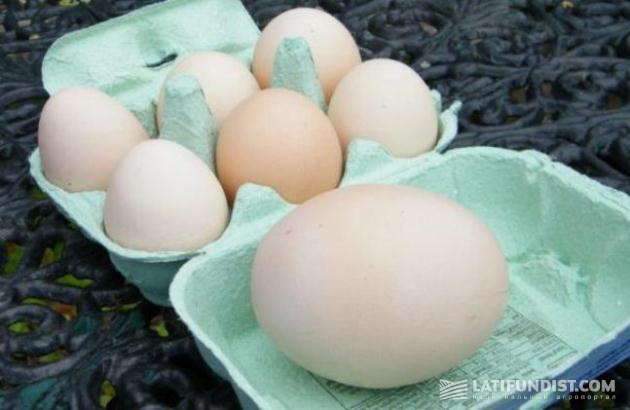 Яйцо весом 163 г из Иствуда, графство Эссекс, Великобритания
