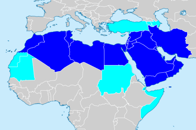 Все чаще к странам MENA относят государства, отмеченные голубым цветом